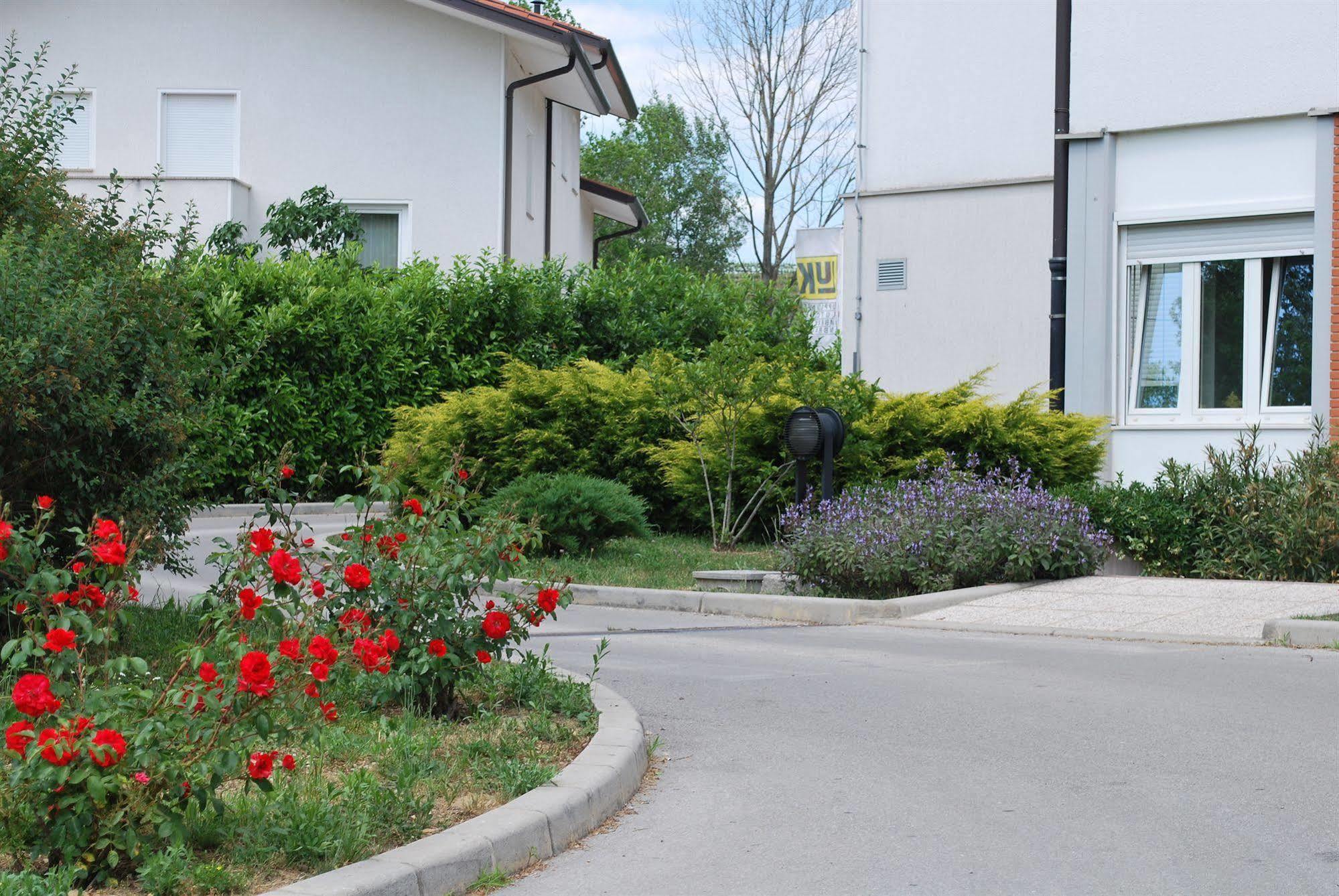 Bed And Breakfast Kogoj Nova Gorica Exterior foto